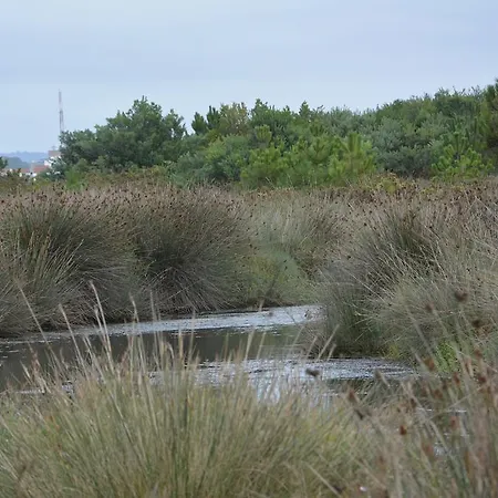 Jp Ofir House Apartment Fao