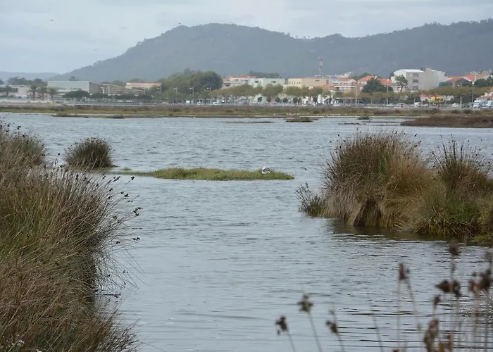 Jp Ofir House شقة