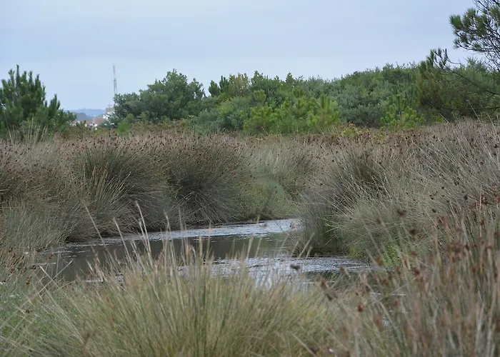 Jp Ofir House 公寓 Fão